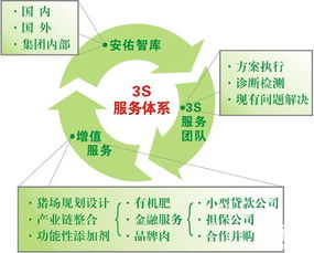 安佑集團(tuán)開(kāi)辟養(yǎng)豬網(wǎng)絡(luò)技術(shù)服務(wù)專(zhuān)區(qū) 數(shù)字化賦能養(yǎng)殖業(yè)新篇章